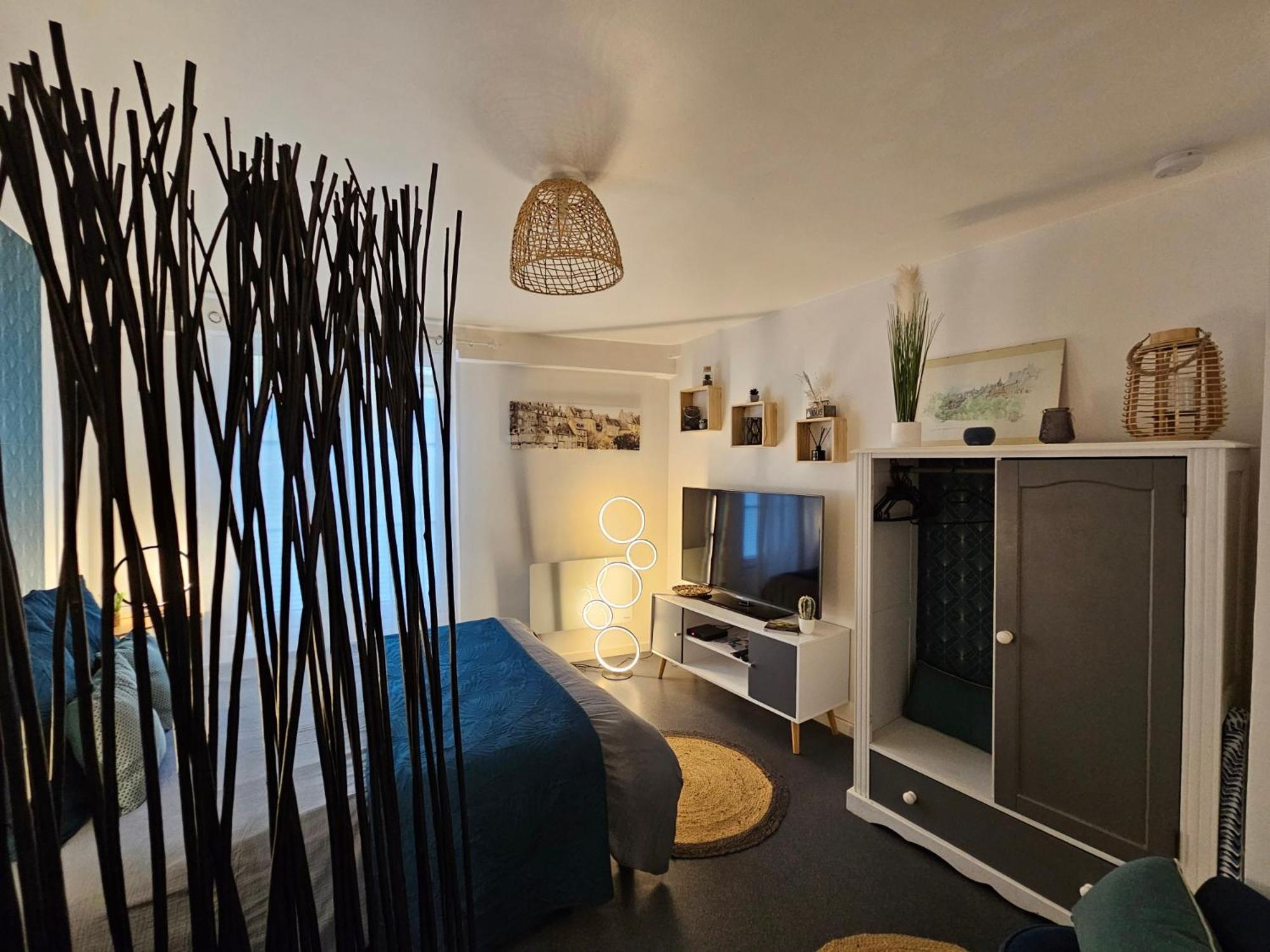 L'appart'mans -charmant-studio-centre Ville-2 Pers Appartement Le Mans